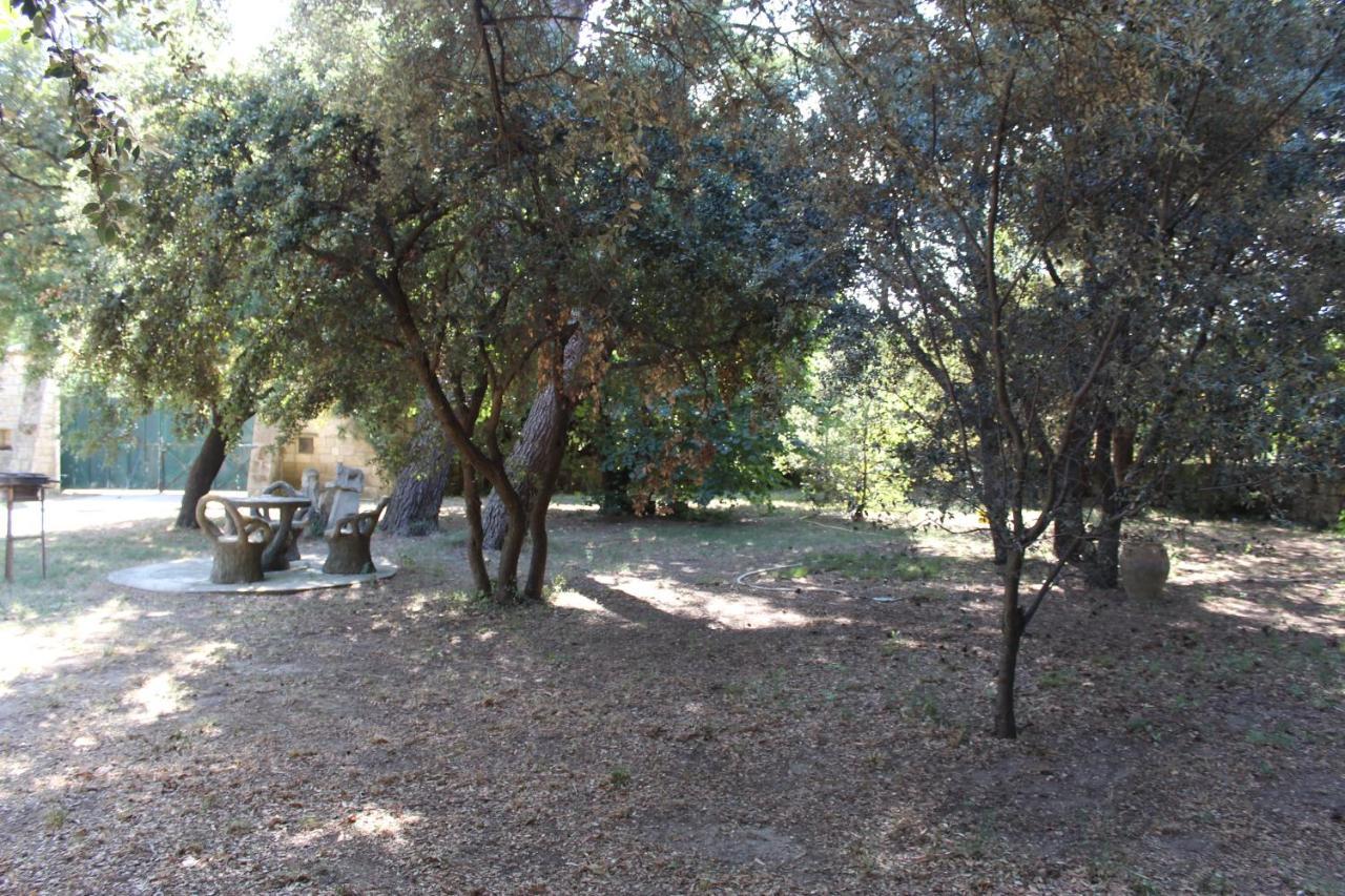 Le Mas De Lucien Entre Arles, Nimes, Avignon. Beaucaire  Dış mekan fotoğraf