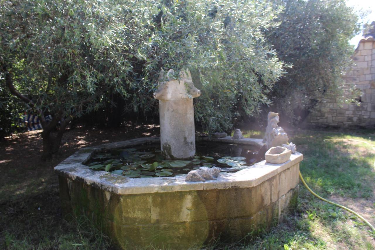 Le Mas De Lucien Entre Arles, Nimes, Avignon. Beaucaire  Dış mekan fotoğraf