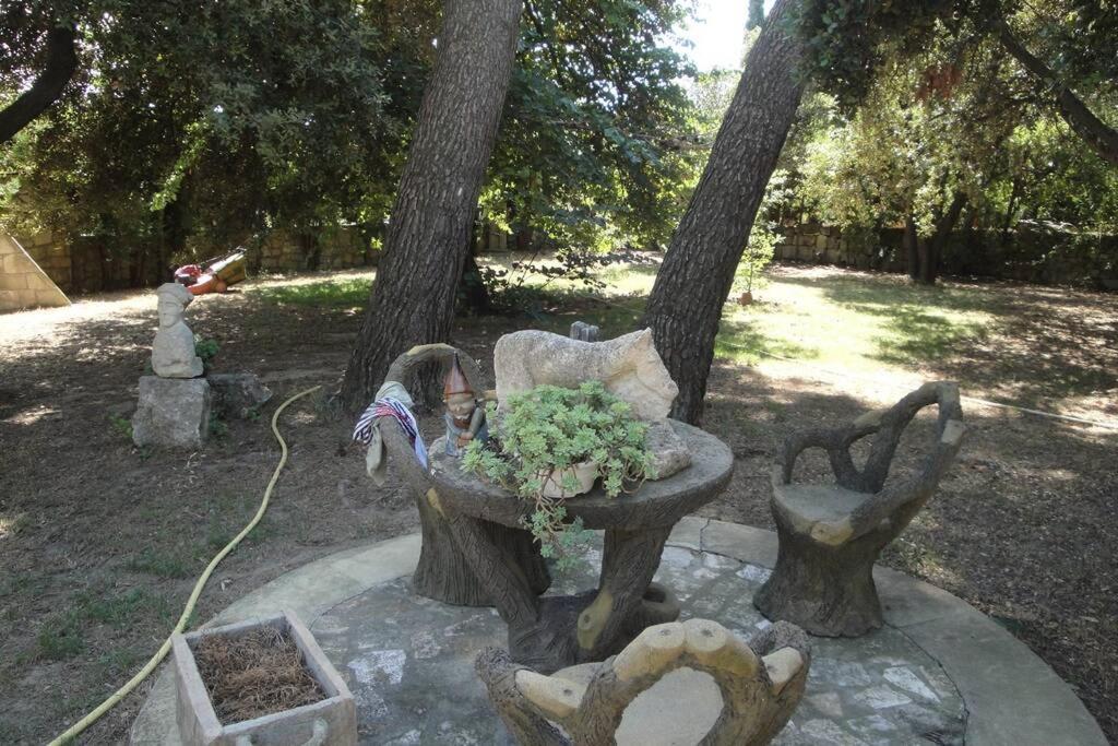 Le Mas De Lucien Entre Arles, Nimes, Avignon. Beaucaire  Dış mekan fotoğraf